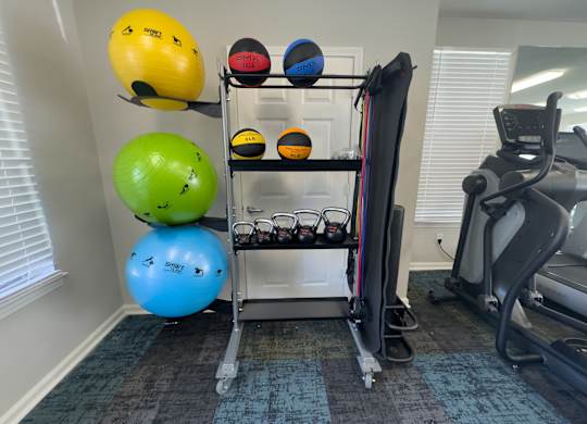 A gym with a treadmill, weights, and exercise balls.