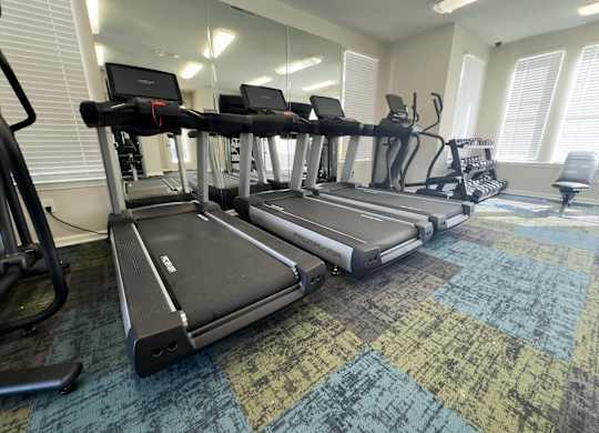 A gym with treadmills and elliptical machines.