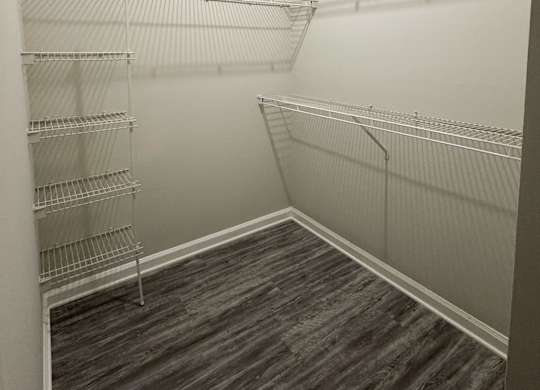 Empty walk in closet with shelves and wood floors.