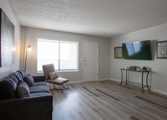 Tucson, AZ Apartments - Peaks at Redington - Living Room with a Large Window, Front Door, Wood-Style Flooring, Couch, Chair, TV, and Stylish Decor