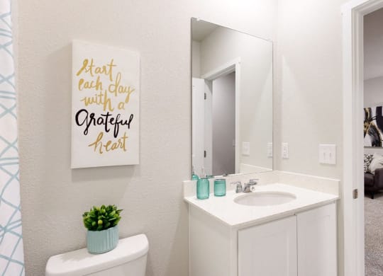 a bathroom with a mirror and a toilet and a sink