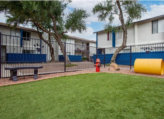 Leash-free bark park with agility features at Midtown on Seneca, a pet-friendly apartment community near East Central Tucson, Tucson, AZ.