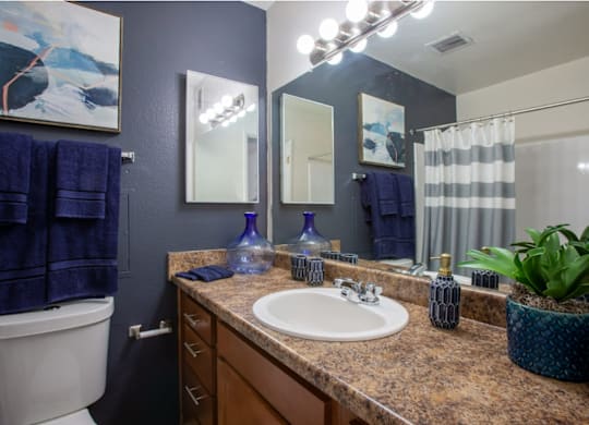 Bathroom with large mirror at Midtown on Seneca, a pet-friendly apartment community near East Central Tucson, Tucson, AZ.