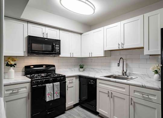 Pet-friendly kitchen at Mirador at Peachtree in Atlanta, Georgia, near Briarcliff, featuring ample cabinet space and black appliances.