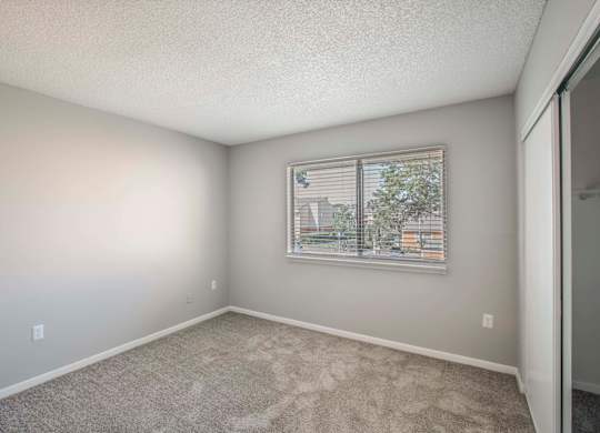 Pet-Friendly Apartments in Kissimmee, FL- Mirador at Woodside - Bedroom with Plush Carpeting