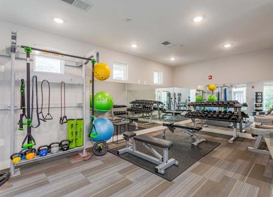 Pet-Friendly Rentals in Sevierville, TN – Overlook at Allensville – A well-equipped gym with various exercise equipment.