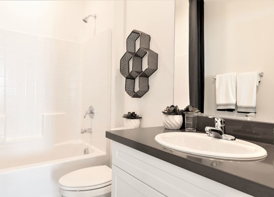 Bathroom interior with modern finishes in North Las Vegas rental home