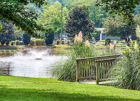 Scenic outdoor walkway leading toward the lake at Grand Arbor Reserve Apartments in Raleigh, NC 27607, near Central Raleigh.