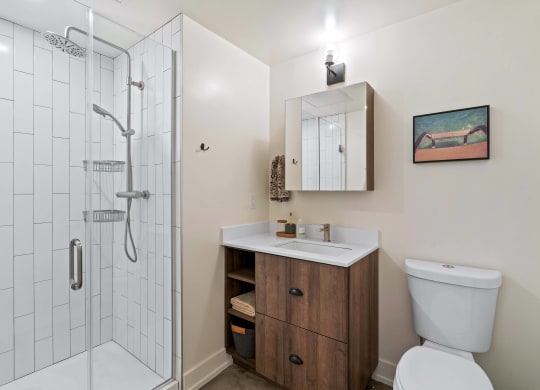 a bathroom with a shower and a sink and a toilet