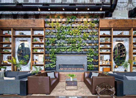 a living room with a fireplace and plants on the wall