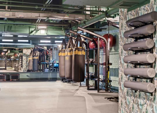 a view of a brewery with tanks and fermenting cylinders