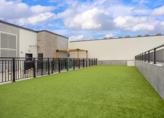 a green lawn on the roof of a building