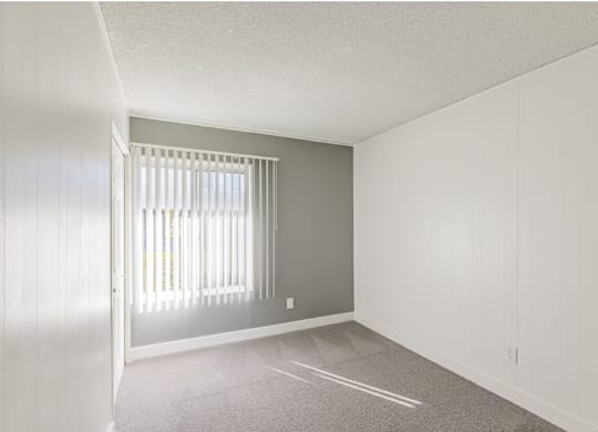 One-Bedroom Apartments in El Cajon, CA - Ivanhoe Village - Carpeted Bedroom with a Grey Accent Wall, and a Large Window.