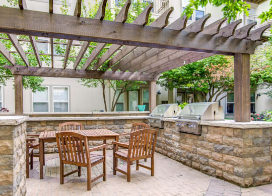Picnic Area With Grilling Facility at Uptown Lake Apartments, Minneapolis, 55408