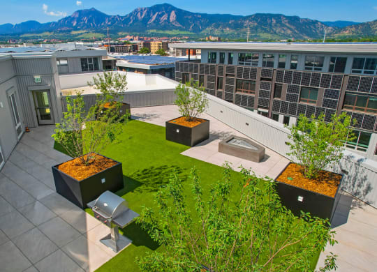 an aerial view of Platform's rooftop garden with trees and a hot tub