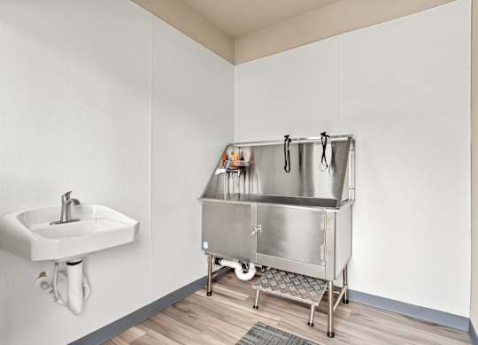 A stainless steel sink and dishwasher in a small room.