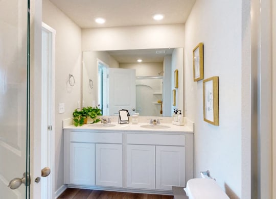 a bathroom with a sink and a shower and a mirror