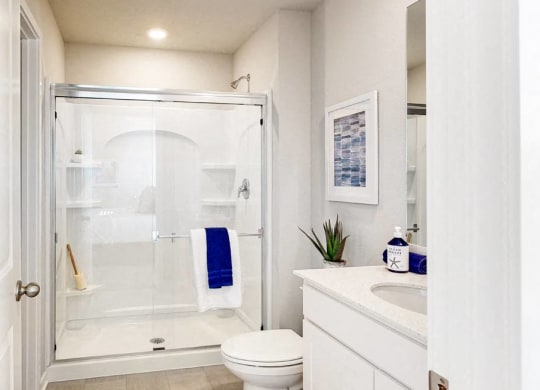 a bathroom with a shower and a toilet and a sink