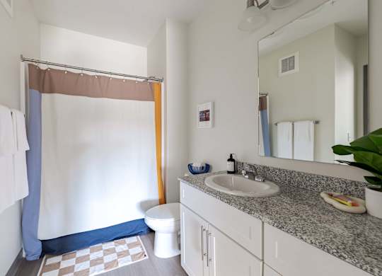 A bathroom with a white toilet, sink, and shower curtain.