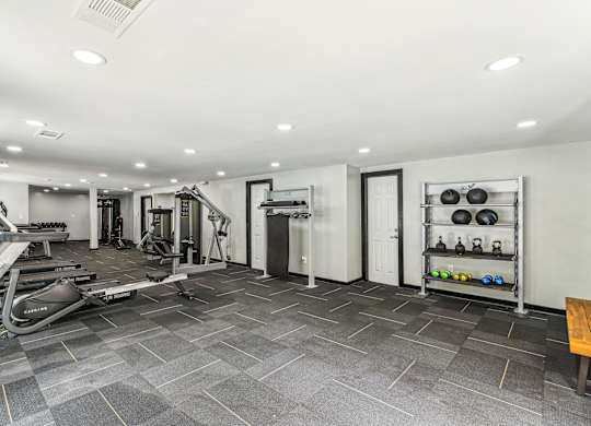 A spacious gym with treadmills, weights, and exercise equipment.
