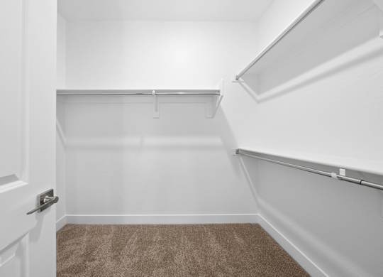 A white closet with a brown carpet and a white door.