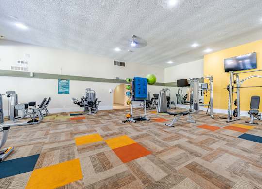 Resident gym at Sono Tempe featuring modern fitness equipment inside this Tempe, AZ apartment community.