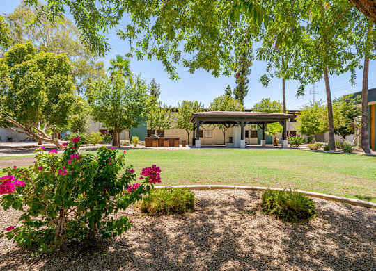 Lush green courtyard at Sono Tempe Apartments in Tempe, Arizona featuring open lawn space surrounded by palm trees and apartment homes.