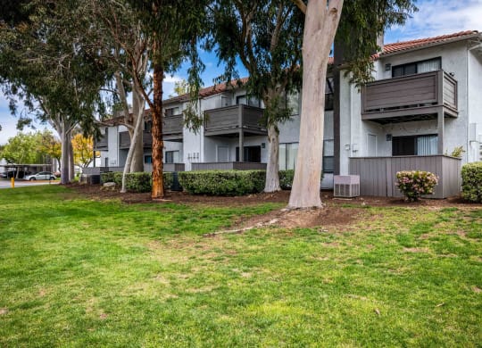 our apartments are located in the heart of a city