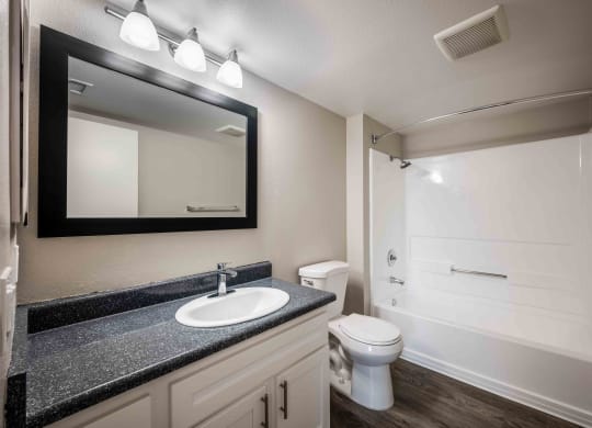 a bathroom with a sink and a toilet and a mirror