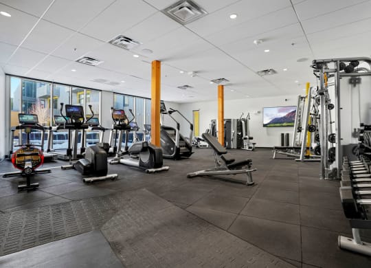 a large fitness room with treadmills and other exercise equipment