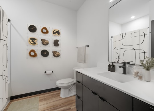 a bathroom with a sink and a toilet and a mirror
