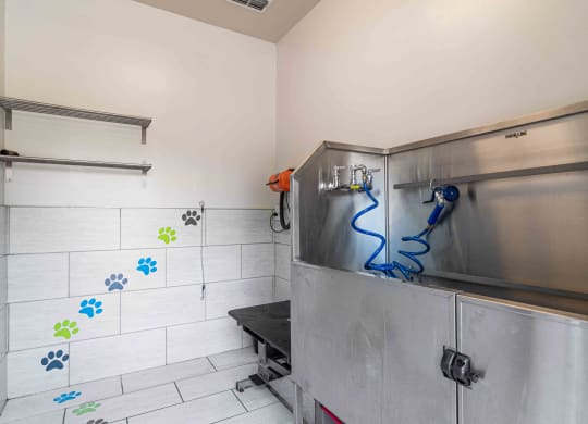The Asher at Sugarloaf apartments in Lawrenceville Georgia photo of pet spa