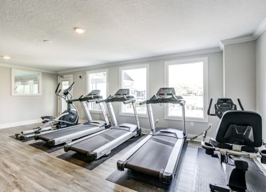 The Commons Apartments in Tampa Florida photo of cardio equipment