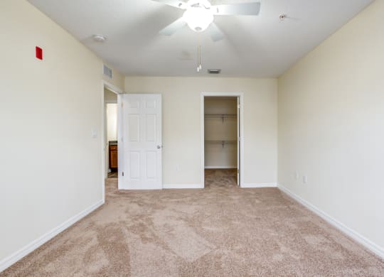 The Commons Apartment in Tampa Florida Photo Of a bedroom with carpeted flooring and a ceiling fan