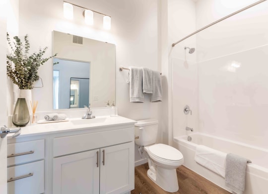 a bathroom with a sink and a toilet and a shower