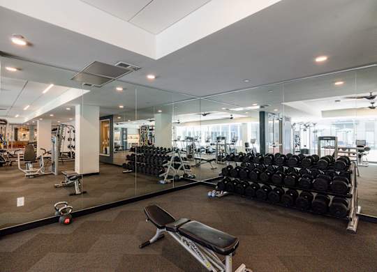A gym with a variety of equipment including weights and cardio machines.