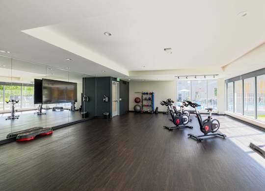 A gym with a row of stationary bikes and a row of exercise bikes.