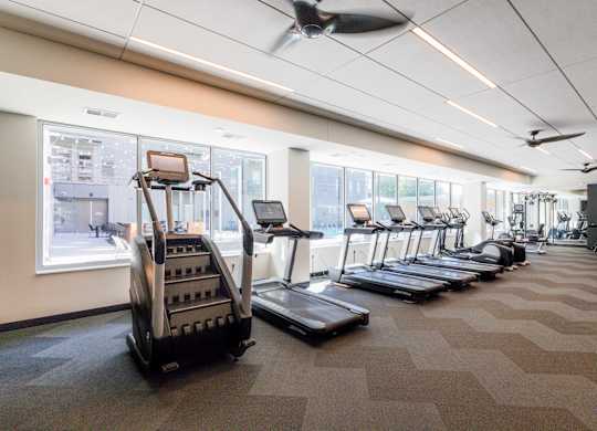A gym with treadmills and elliptical machines.