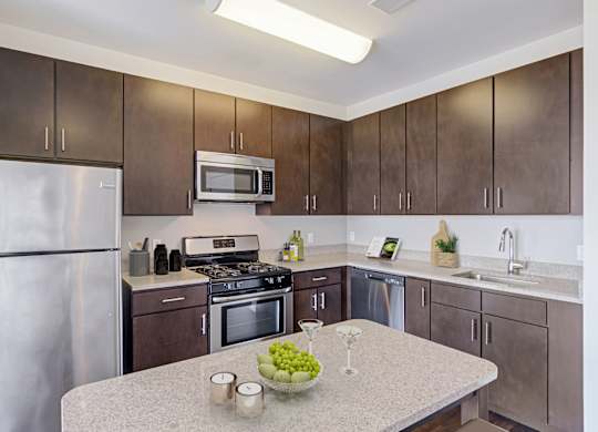 kitchen with stainless steel appliances