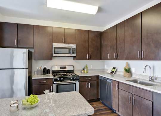 kitchen with stainless steel appliances