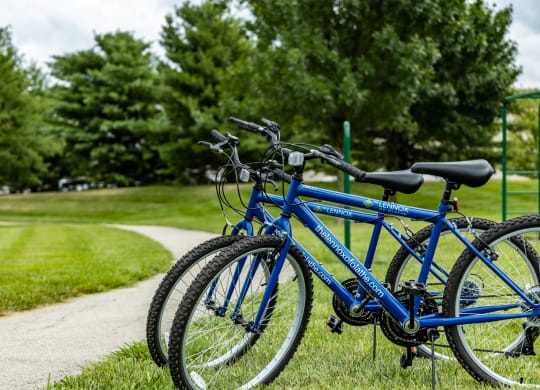 a pair of bikes parked in a park