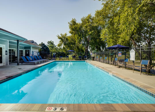 take a dip in the pool