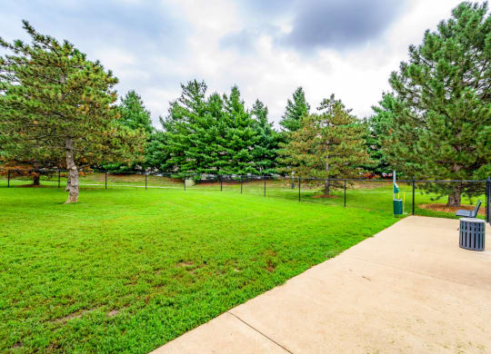 a grassy area with trees and a chain link fence