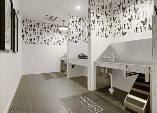 a bathroom with a fish print on the wall