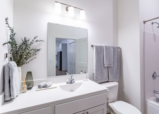 Elevated bathroom finishes a The Ellie