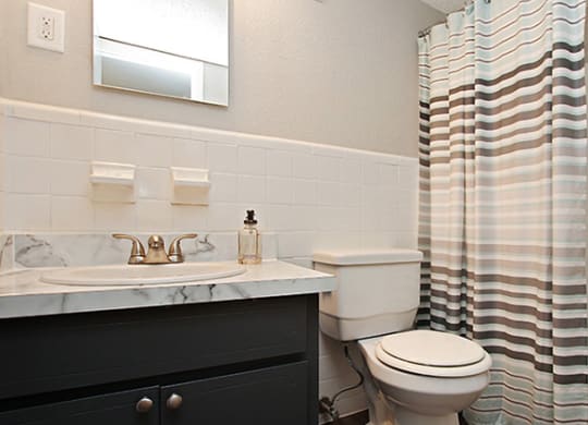 Pet-Friendly Apartments in Atlanta, GA – Estuary –a bathroom with a toilet and a sink and a shower