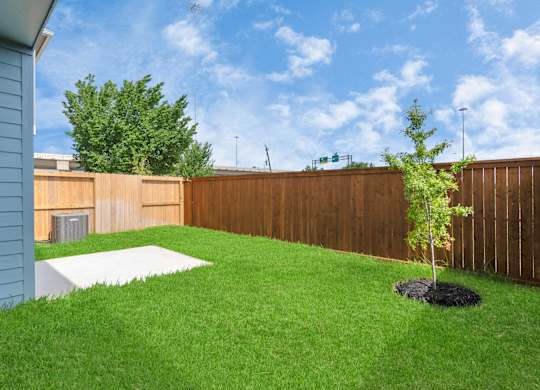 a backyard with green grass and a wooden fence