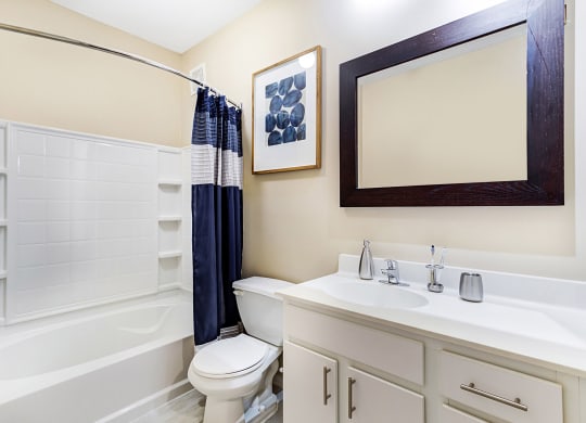 bathroom with shower at Uptown Lake Apartments, Minneapolis, MN, 55408