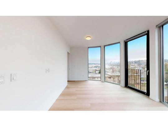 Juliette balcony with surrounding windows