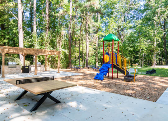 Wyndcliff Galleria Apartments Smyrna Ga Playground with picnic area